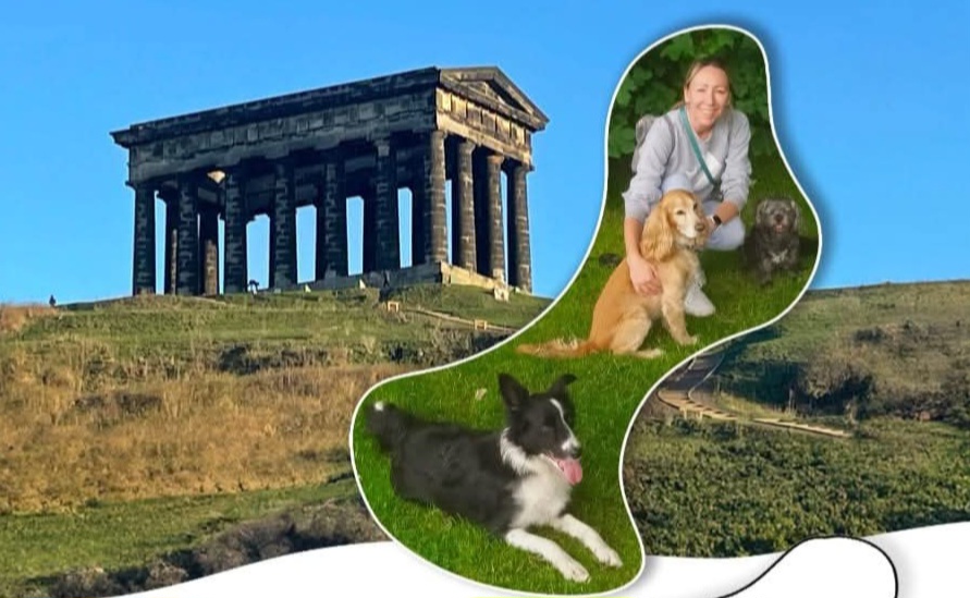 Tails and Adventures logo